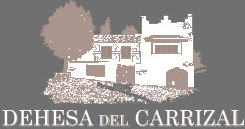 dehesa_del_carrizal