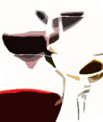 wine types